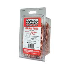 Motor Guard 2.5mm Draw Pins